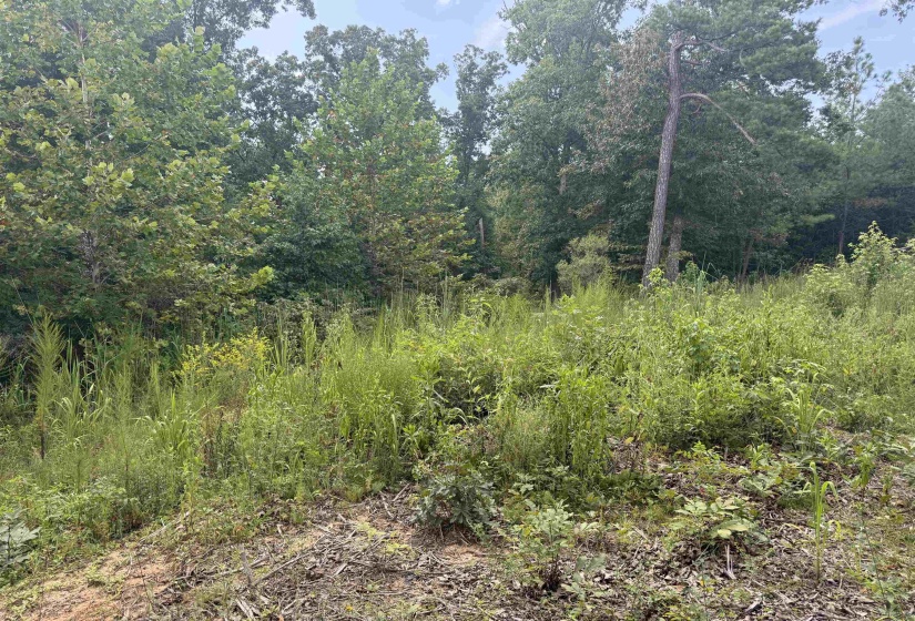 ROSE CREEK RD, Selmer, Tennessee 38375, 0 , 0 ,0,Land,For Sale,ROSE CREEK,0,10227852