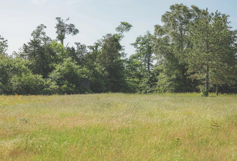 0 BUNCHES CHAPEL RD, Parsons, Tennessee 38363, 0 , 0 ,0,Land,For Sale,BUNCHES CHAPEL,0,10222344