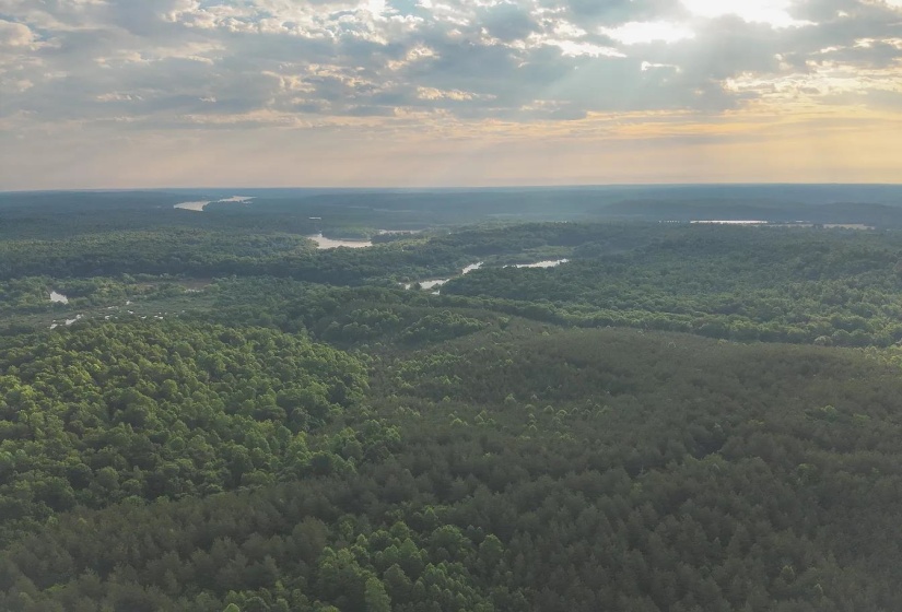 0 BUNCHES CHAPEL RD, Parsons, Tennessee 38363, 0 , 0 ,0,Land,For Sale,BUNCHES CHAPEL,0,10222344