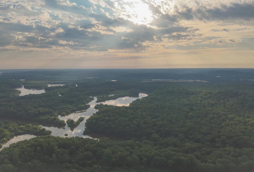 0 BUNCHES CHAPEL RD, Parsons, Tennessee 38363, 0 , 0 ,0,Land,For Sale,BUNCHES CHAPEL,0,10222344