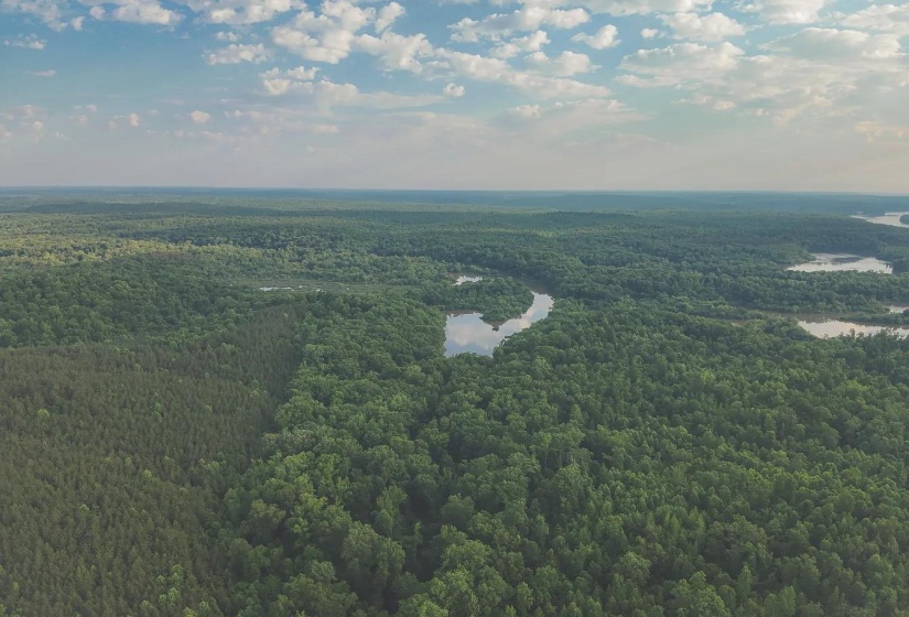 0 BUNCHES CHAPEL RD, Parsons, Tennessee 38363, 0 , 0 ,0,Land,For Sale,BUNCHES CHAPEL,0,10222344