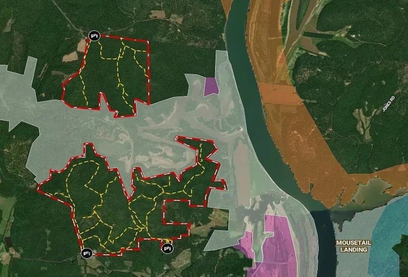 0 BUNCHES CHAPEL RD, Parsons, Tennessee 38363, 0 , 0 ,0,Land,For Sale,BUNCHES CHAPEL,0,10222344