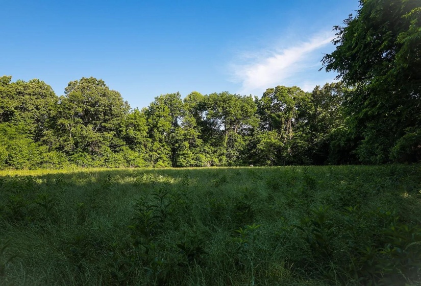 0 BUNCHES CHAPEL RD, Parsons, Tennessee 38363, 0 , 0 ,0,Land,For Sale,BUNCHES CHAPEL,0,10222344
