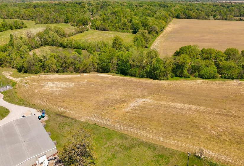 0 HWY 196/MAIN ST HWY, Gallaway, Tennessee 38036, 0 , 0 ,0,Land,For Sale,HWY 196/MAIN ST,0,10176122