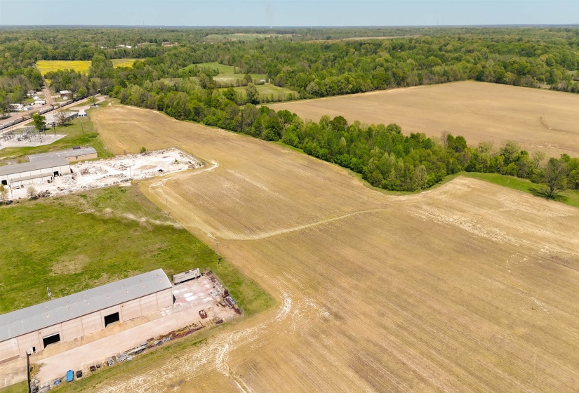 0 HWY 196/MAIN ST HWY, Gallaway, Tennessee 38036, 0 , 0 ,0,Land,For Sale,HWY 196/MAIN ST,0,10176122