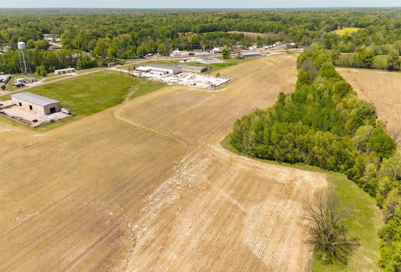 0 HWY 196/MAIN ST HWY, Gallaway, Tennessee 38036, 0 , 0 ,0,Land,For Sale,HWY 196/MAIN ST,0,10176122
