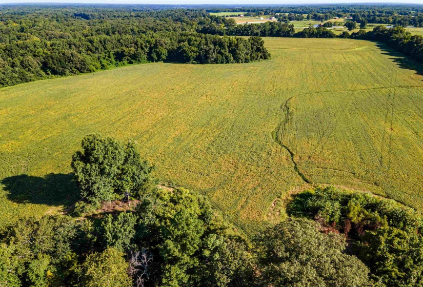 MT. MORIAH RD, Somerville, Tennessee 38068, 0 , 0 ,0,Land,For Sale,MT. MORIAH,0,10213564