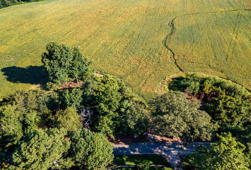 MT. MORIAH RD, Somerville, Tennessee 38068, 0 , 0 ,0,Land,For Sale,MT. MORIAH,0,10213564
