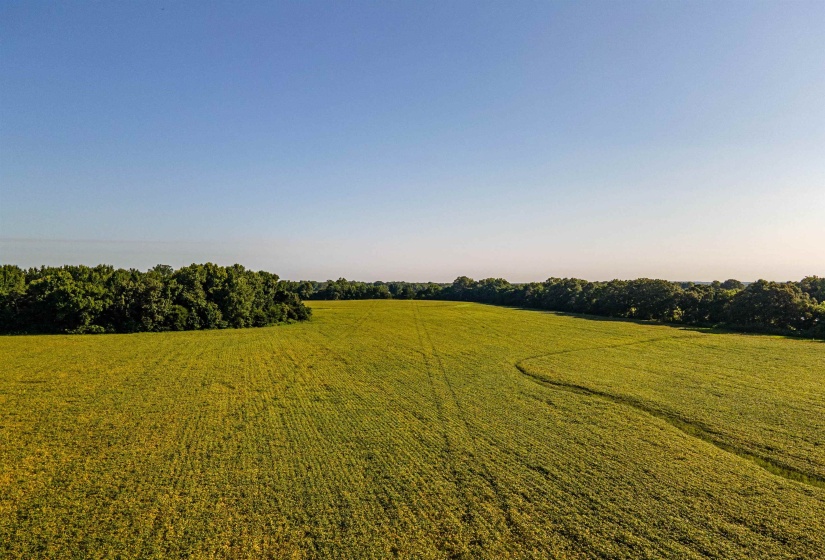 MT. MORIAH RD, Somerville, Tennessee 38068, 0 , 0 ,0,Land,For Sale,MT. MORIAH,0,10213564