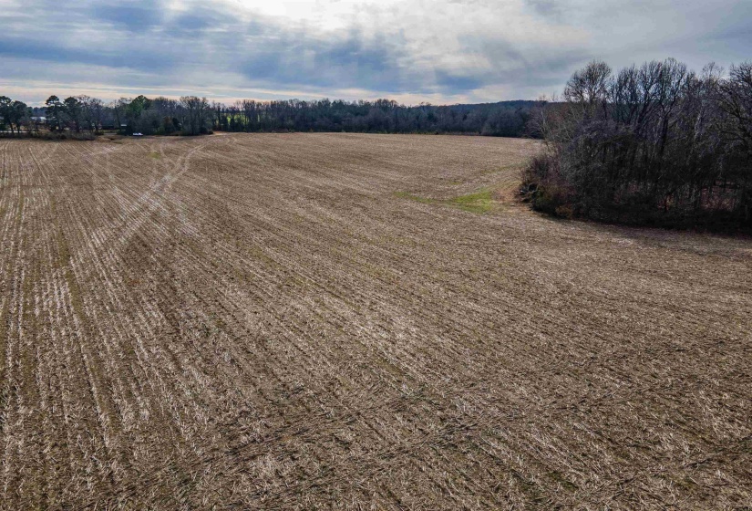 MT. MORIAH RD, Somerville, Tennessee 38068, 0 , 0 ,0,Land,For Sale,MT. MORIAH,0,10213564