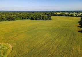 MT. MORIAH RD, Somerville, Tennessee 38068, 0 , 0 ,0,Land,For Sale,MT. MORIAH,0,10213564 MT. MORIAH RD, Somerville, Tennessee 38068, 0 , 0 ,0,Land,For Sale,MT. MORIAH,0,10213564