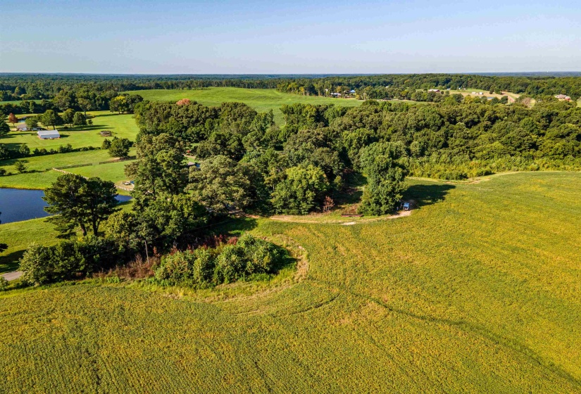 MT. MORIAH RD, Somerville, Tennessee 38068, 0 , 0 ,0,Land,For Sale,MT. MORIAH,0,10213564