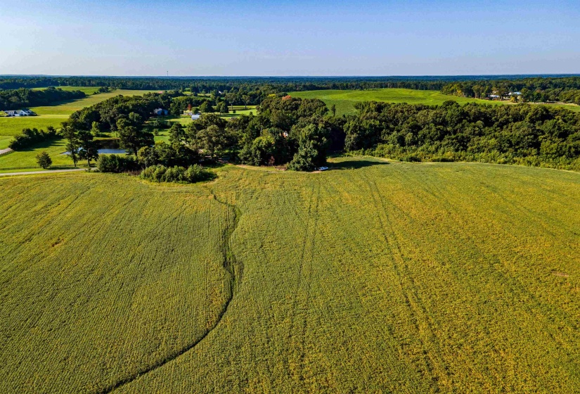 MT. MORIAH RD, Somerville, Tennessee 38068, 0 , 0 ,0,Land,For Sale,MT. MORIAH,0,10213564