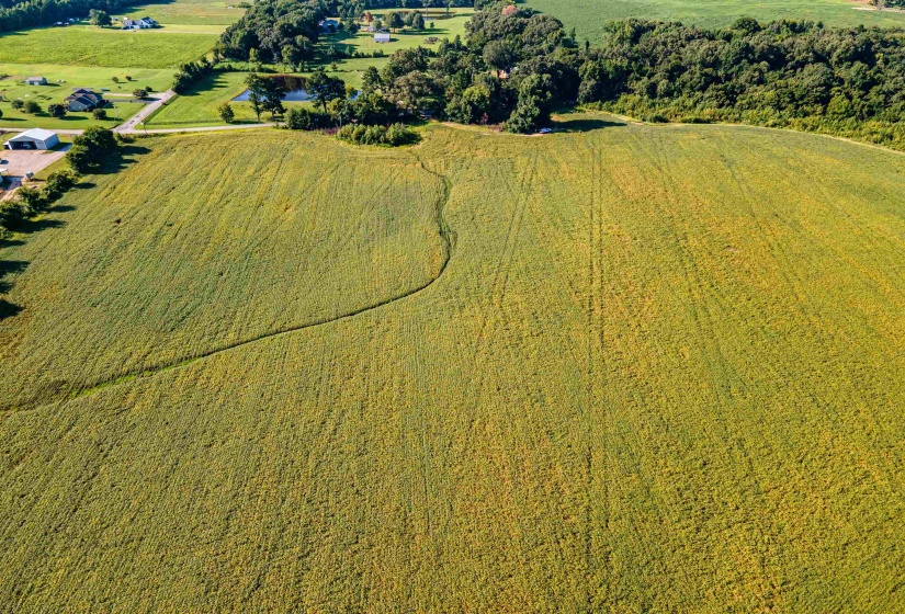 MT. MORIAH RD, Somerville, Tennessee 38068, 0 , 0 ,0,Land,For Sale,MT. MORIAH,0,10213564