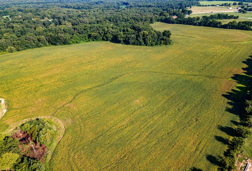 MT. MORIAH RD, Somerville, Tennessee 38068, 0 , 0 ,0,Land,For Sale,MT. MORIAH,0,10213564