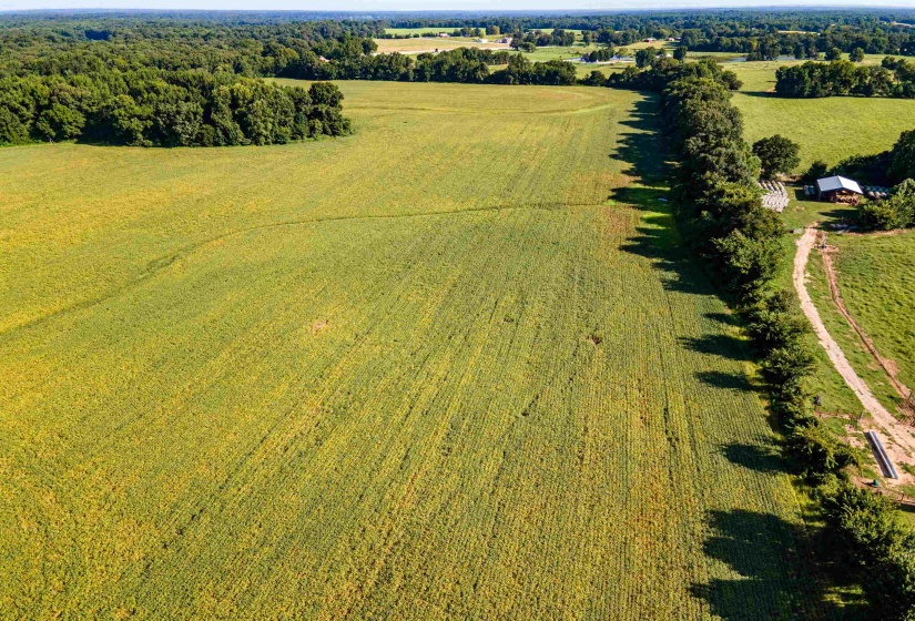 MT. MORIAH RD, Somerville, Tennessee 38068, 0 , 0 ,0,Land,For Sale,MT. MORIAH,0,10213564