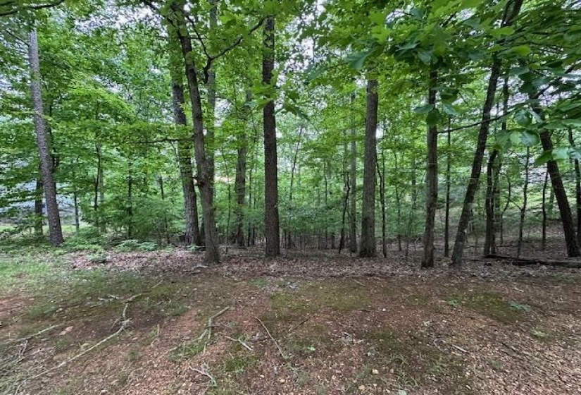 00 ANDERSON HOLLOW RD, Savannah, Tennessee 38372, 0 , 0 ,0,Land,For Sale,ANDERSON HOLLOW,0,10228124
