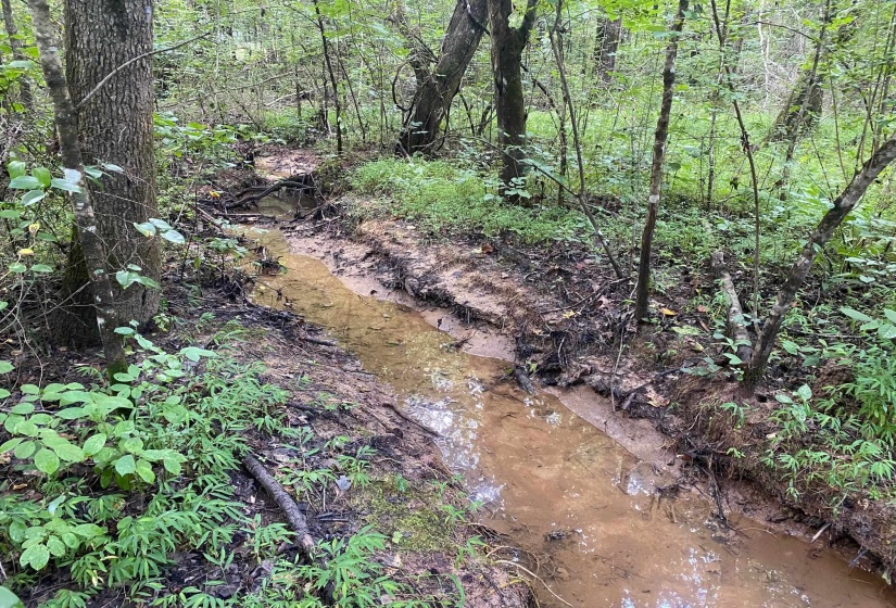 1234 SANDY FLATT RD, Bethel Springs, Tennessee 38315, 0 , 0 ,0,Land,For Sale,SANDY FLATT,0,10226848