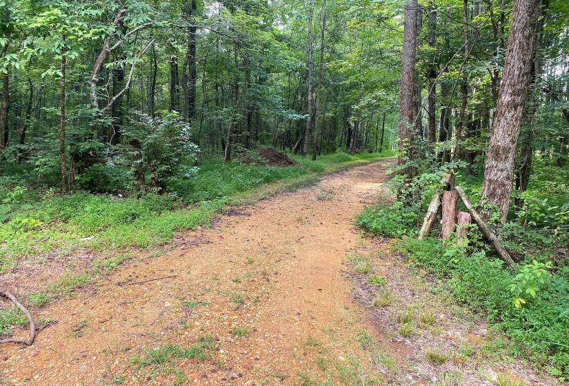 1234 SANDY FLATT RD, Bethel Springs, Tennessee 38315, 0 , 0 ,0,Land,For Sale,SANDY FLATT,0,10226848