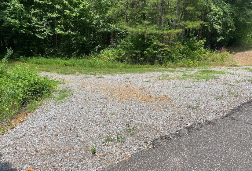 1234 SANDY FLATT RD, Bethel Springs, Tennessee 38315, 0 , 0 ,0,Land,For Sale,SANDY FLATT,0,10226848