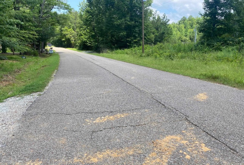 1234 SANDY FLATT RD, Bethel Springs, Tennessee 38315, 0 , 0 ,0,Land,For Sale,SANDY FLATT,0,10226848
