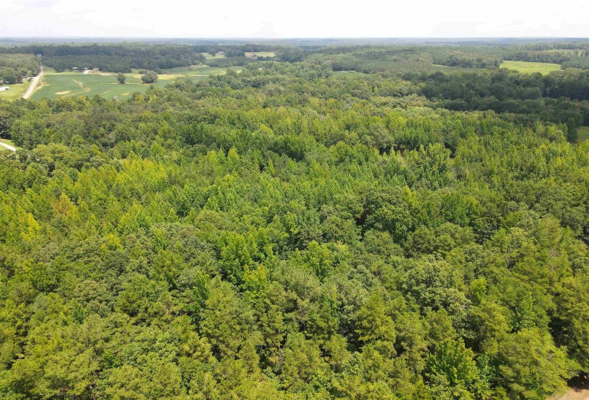 1234 SANDY FLATT RD, Bethel Springs, Tennessee 38315, 0 , 0 ,0,Land,For Sale,SANDY FLATT,0,10226848