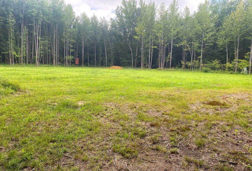 1234 SANDY FLATT RD, Bethel Springs, Tennessee 38315, 0 , 0 ,0,Land,For Sale,SANDY FLATT,0,10226848