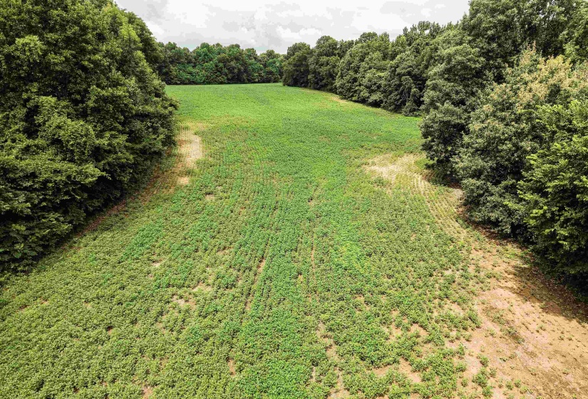 00 MAE SIGMA RD, Brighton, Tennessee 38011, 0 , 0 ,0,Land,For Sale,MAE SIGMA,0,10226302