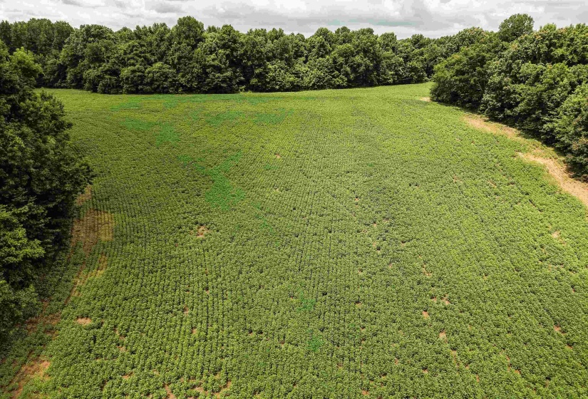 00 MAE SIGMA RD, Brighton, Tennessee 38011, 0 , 0 ,0,Land,For Sale,MAE SIGMA,0,10226302