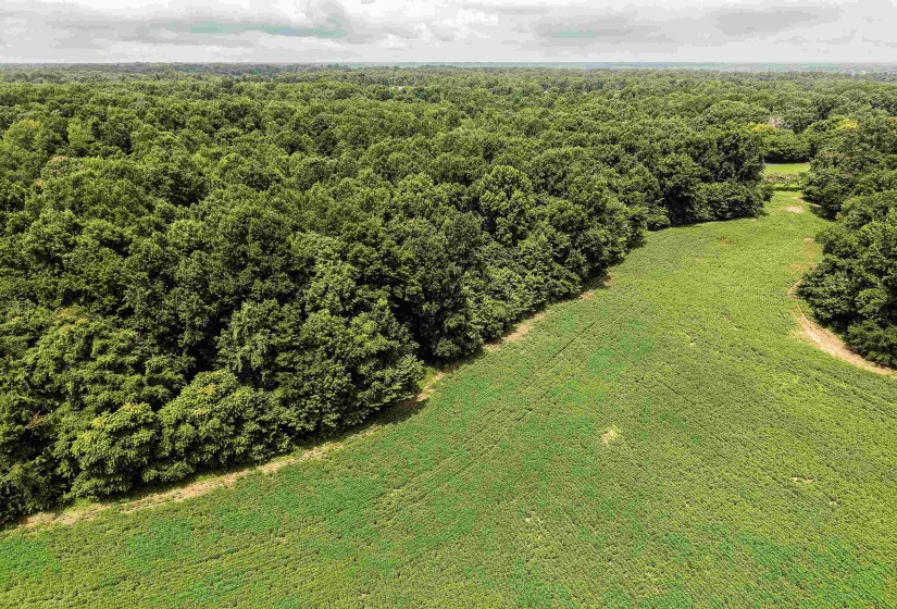 00 MAE SIGMA RD, Brighton, Tennessee 38011, 0 , 0 ,0,Land,For Sale,MAE SIGMA,0,10226302