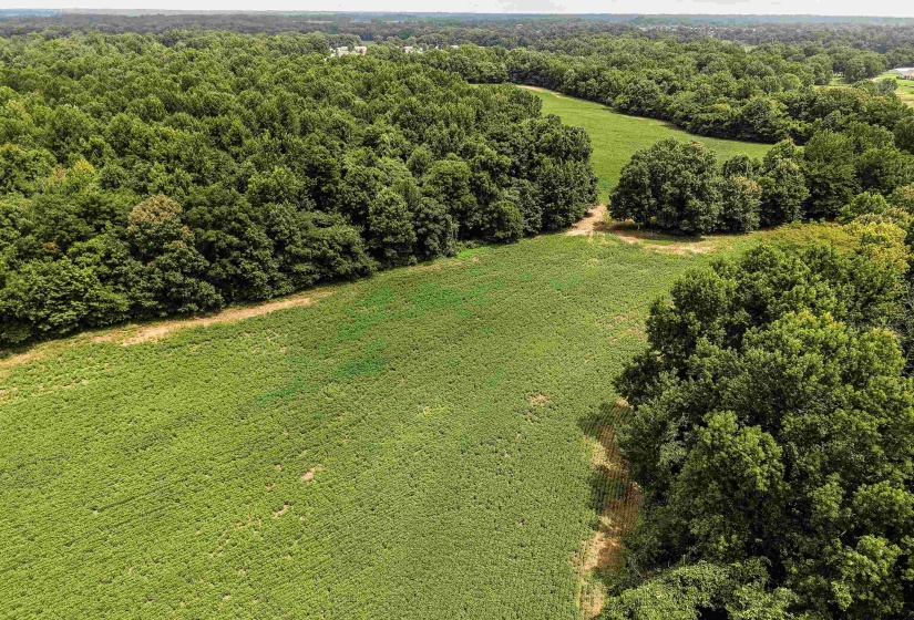 00 MAE SIGMA RD, Brighton, Tennessee 38011, 0 , 0 ,0,Land,For Sale,MAE SIGMA,0,10226302