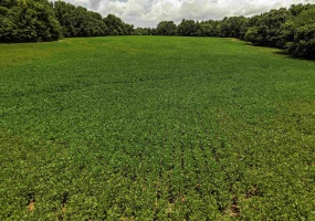 00 MAE SIGMA RD, Brighton, Tennessee 38011, 0 , 0 ,0,Land,For Sale,MAE SIGMA,0,10226302 00 MAE SIGMA RD, Brighton, Tennessee 38011, 0 , 0 ,0,Land,For Sale,MAE SIGMA,0,10226302