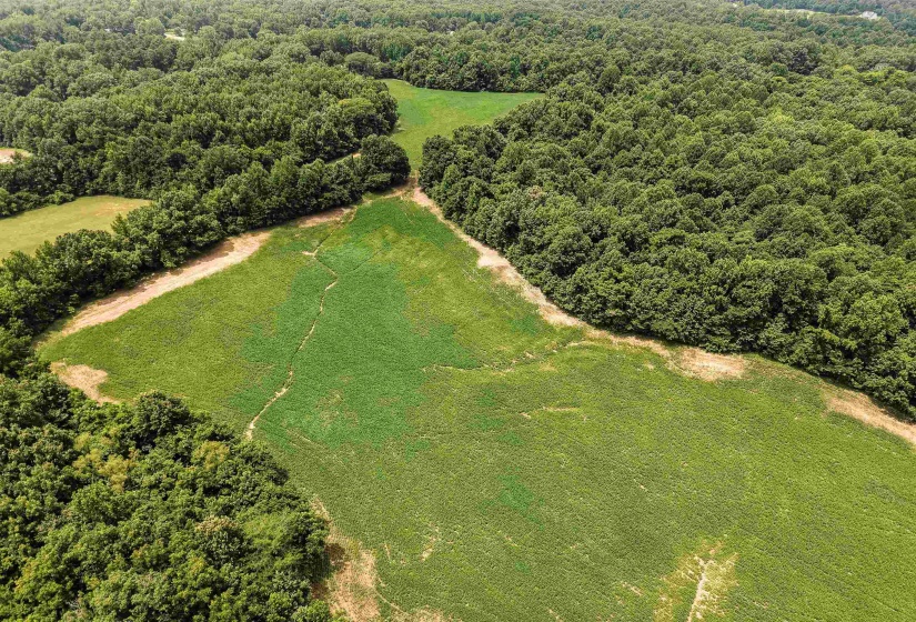 00 MAE SIGMA RD, Brighton, Tennessee 38011, 0 , 0 ,0,Land,For Sale,MAE SIGMA,0,10226302