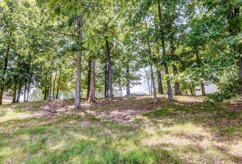 9956 PROMONTORY CV, Lakeland, Tennessee 38002, 0 , 0 ,0,Land,For Sale,PROMONTORY,0,10228507