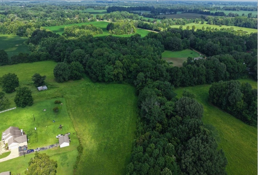 0 TAYLOR LN, Mason, Tennessee 38049, 0 , 0 ,0,Land,For Sale,TAYLOR,0,10228543