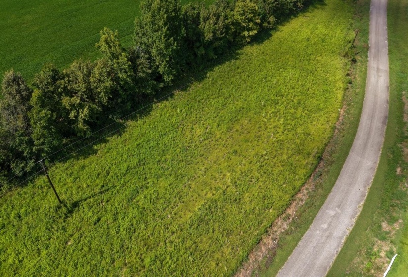 0 TAYLOR LN, Mason, Tennessee 38049, 0 , 0 ,0,Land,For Sale,TAYLOR,0,10228543