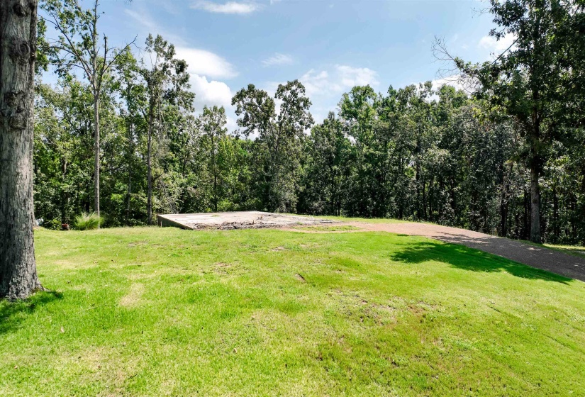 665 HOLIDAY HILLS RD, Counce, Tennessee 38326-4015, 0 , 0 ,0,Land,For Sale,HOLIDAY HILLS,0,10228562