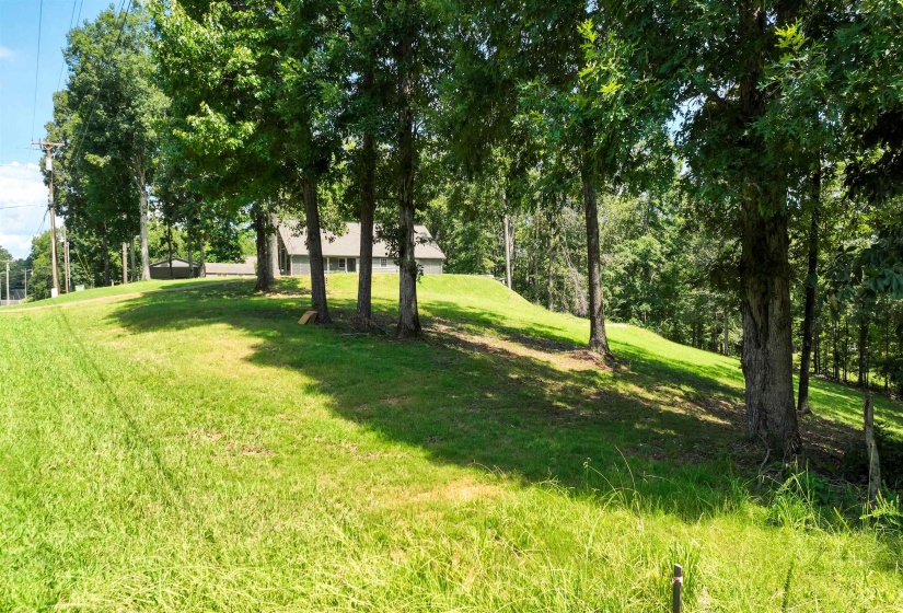 665 HOLIDAY HILLS RD, Counce, Tennessee 38326-4015, 0 , 0 ,0,Land,For Sale,HOLIDAY HILLS,0,10228562