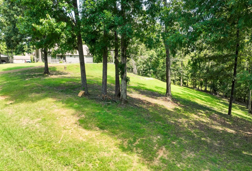 665 HOLIDAY HILLS RD, Counce, Tennessee 38326-4015, 0 , 0 ,0,Land,For Sale,HOLIDAY HILLS,0,10228562