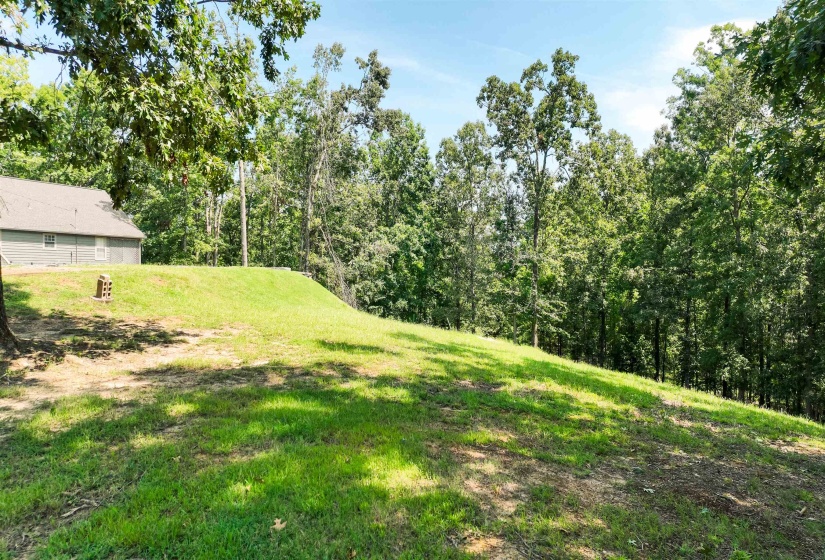 665 HOLIDAY HILLS RD, Counce, Tennessee 38326-4015, 0 , 0 ,0,Land,For Sale,HOLIDAY HILLS,0,10228562