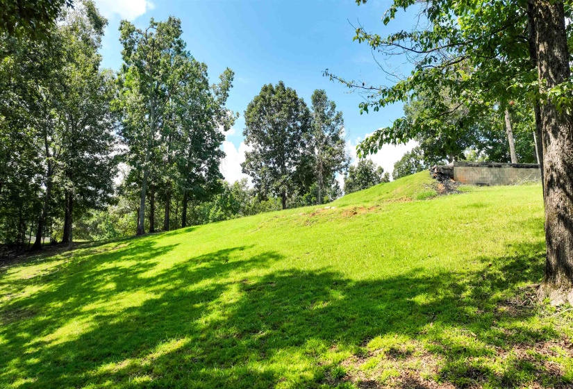 665 HOLIDAY HILLS RD, Counce, Tennessee 38326-4015, 0 , 0 ,0,Land,For Sale,HOLIDAY HILLS,0,10228562