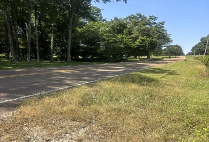 0 CANADAVILLE LOOP, Eads, Tennessee 38028, 0 , 0 ,0,Land,For Sale,CANADAVILLE,0,10228565