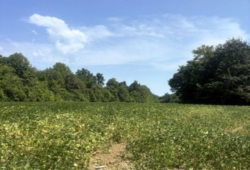 0 CANADAVILLE LOOP, Eads, Tennessee 38028, 0 , 0 ,0,Land,For Sale,CANADAVILLE,0,10228565