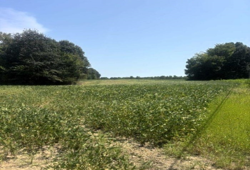 0 CANADAVILLE LOOP, Eads, Tennessee 38028, 0 , 0 ,0,Land,For Sale,CANADAVILLE,0,10228565
