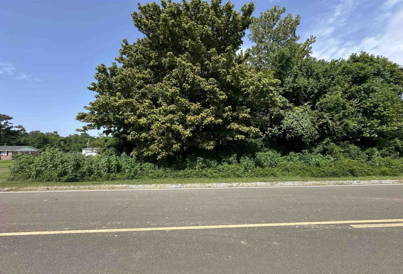 0 SLEDGE RD, Unincorporated, Tennessee 38053, 0 , 0 ,0,Land,For Sale,SLEDGE,0,10228574