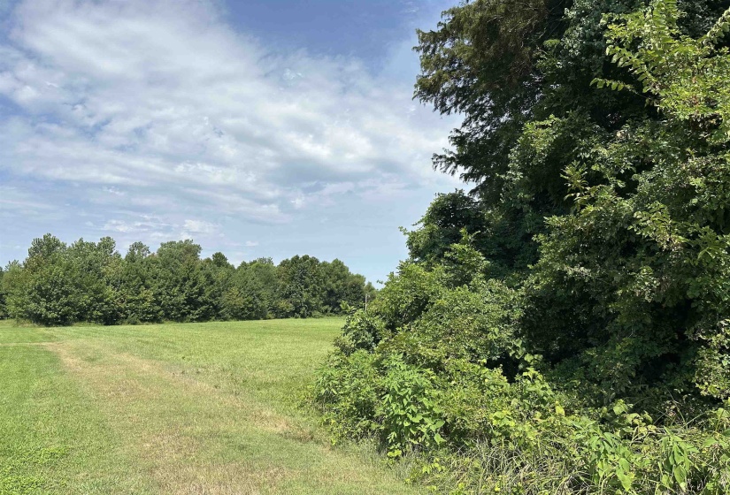 0 SLEDGE RD, Unincorporated, Tennessee 38053, 0 , 0 ,0,Land,For Sale,SLEDGE,0,10228574