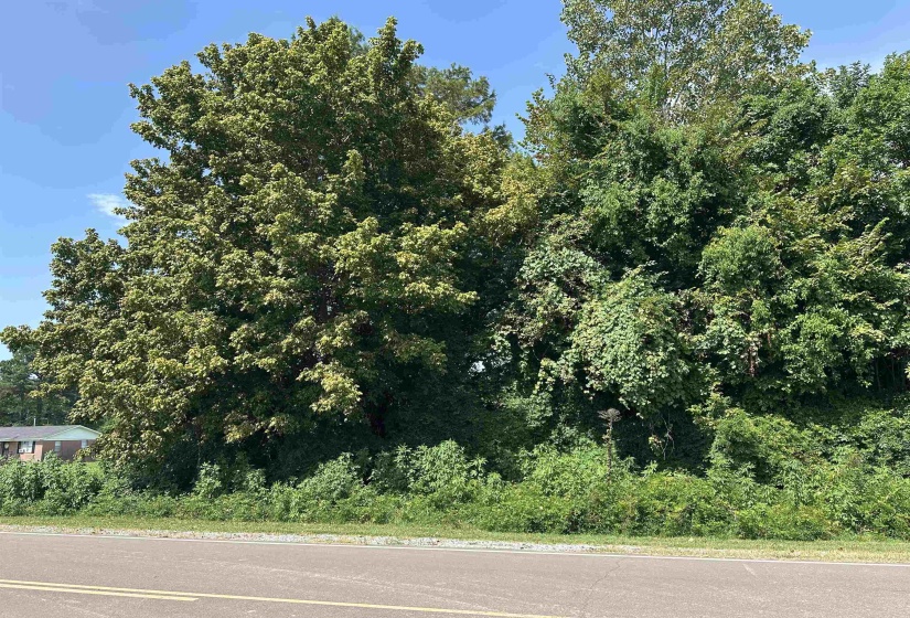 0 SLEDGE RD, Unincorporated, Tennessee 38053, 0 , 0 ,0,Land,For Sale,SLEDGE,0,10228574