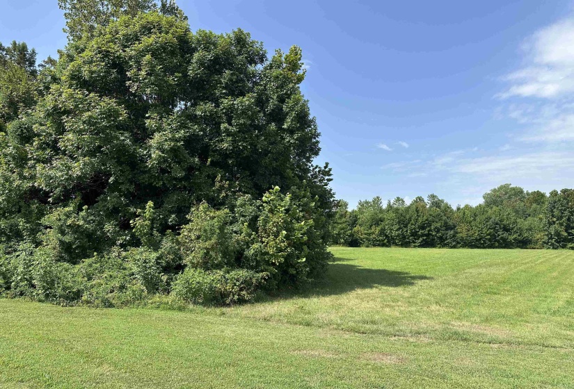 0 SLEDGE RD, Unincorporated, Tennessee 38053, 0 , 0 ,0,Land,For Sale,SLEDGE,0,10228574