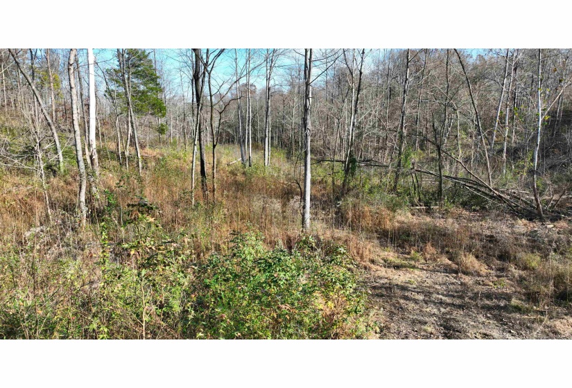 MUNFORD GILTEDGE RD, Burlison, Tennessee 38015, 0 , 0 ,0,Land,For Sale,MUNFORD GILTEDGE,0,10224682