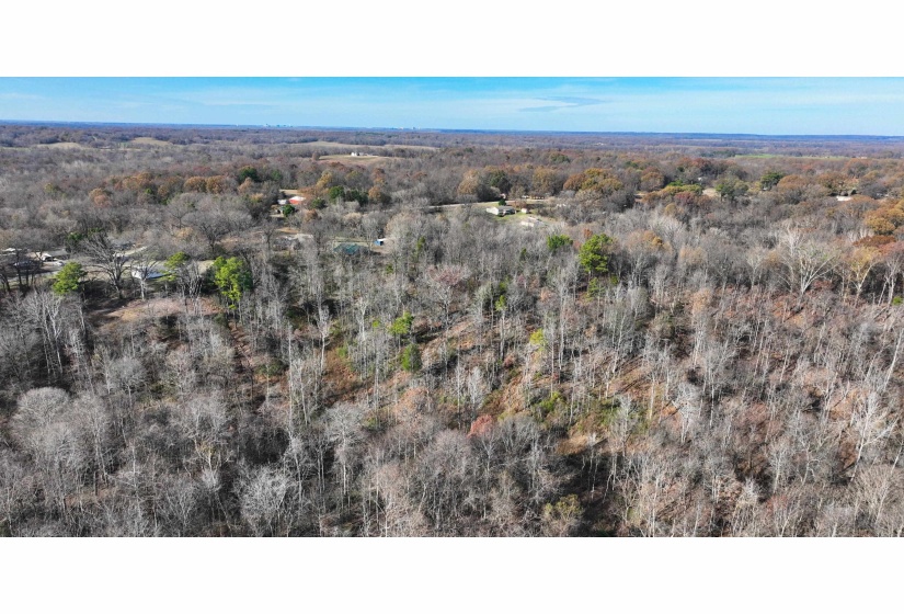 MUNFORD GILTEDGE RD, Burlison, Tennessee 38015, 0 , 0 ,0,Land,For Sale,MUNFORD GILTEDGE,0,10224682